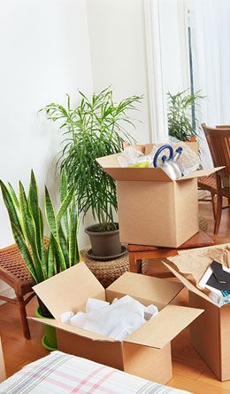 Ajadiwal packers and movers Image second